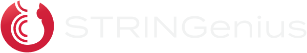 STRINGenius logo