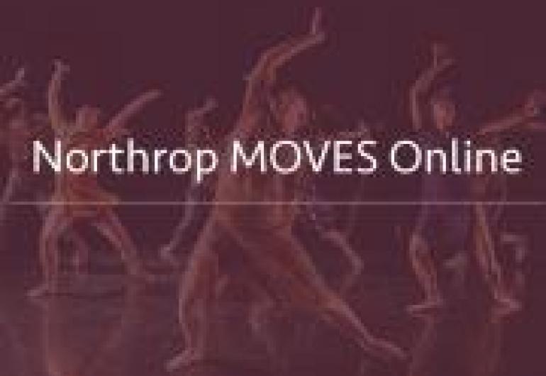 Northrop MOVES Online - Gallim