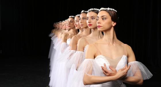 Facts about The State Ballet of Georgia