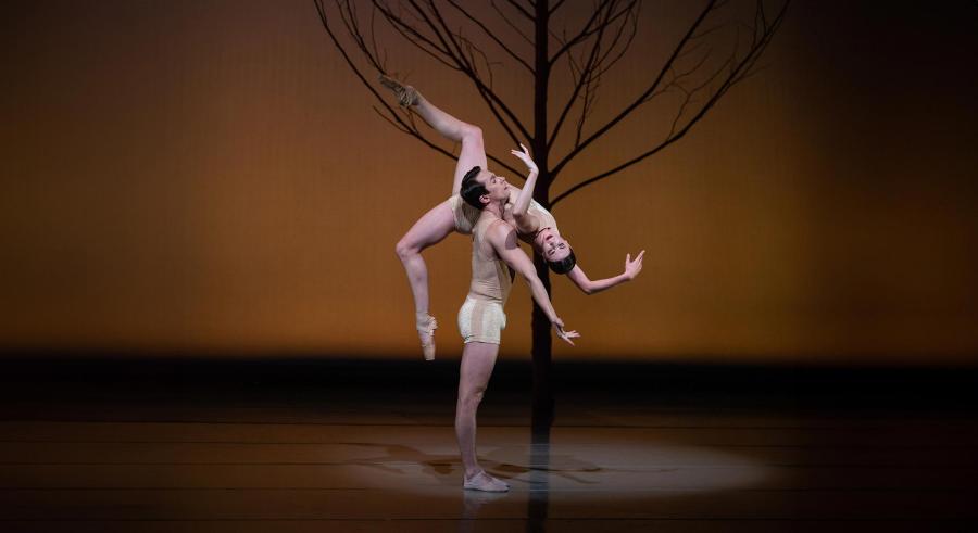 One dancer lifts another by a thin tree on stage.