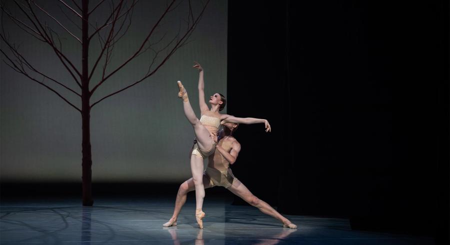 Two dancers arch their arms as one prepares to lift the other.
