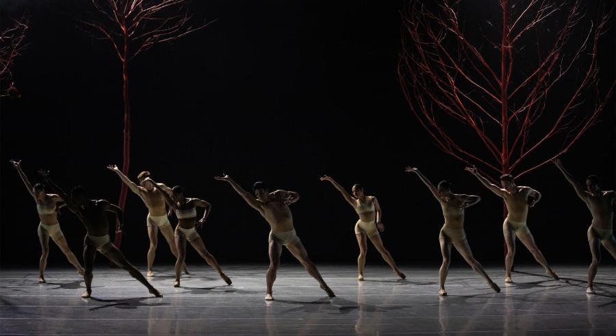 Ballet dancers in unison beneath a dark set of red trees.