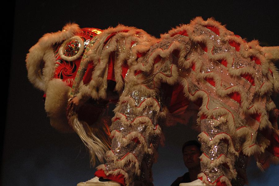 a dragon costume on stage
