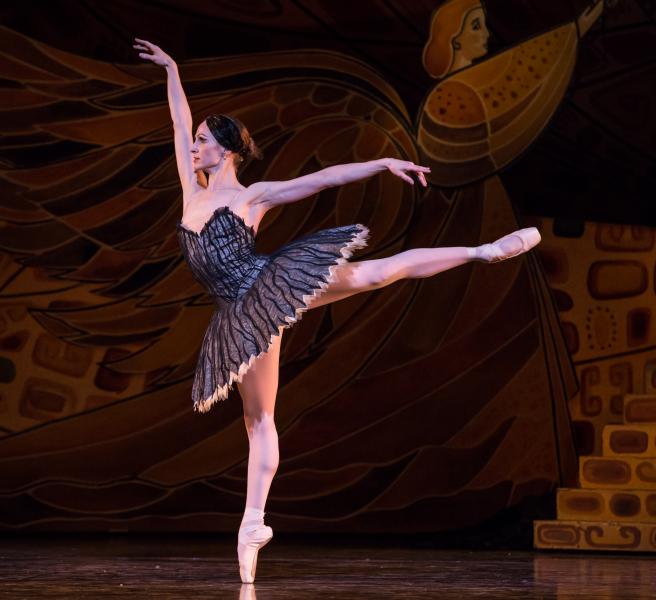 Houston Ballet in Swan Lake - Sara Webb