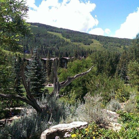 A shot of the view from the Betty Ford Alpine Gardens in Vail, CO