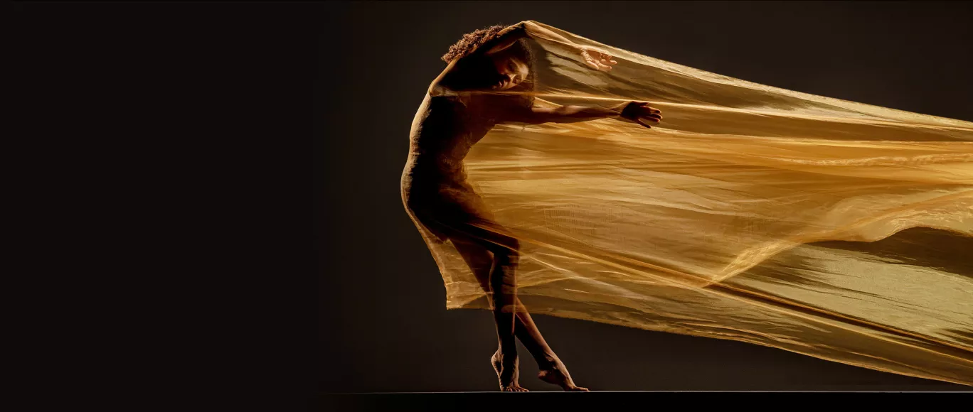 Dancer stretches against sheer, golden, flowing fabric. Image link to play video.