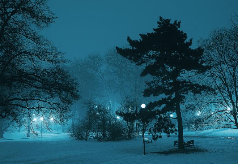 Winter scene at night