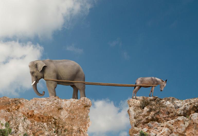 An elephant and a donkey face opposite directions pulling a rope across opposites sides of break in a rock wall