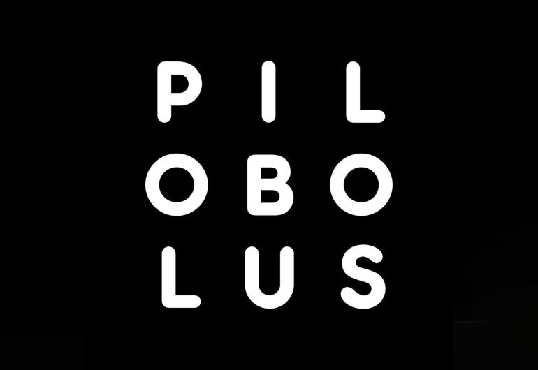 Pilobolus logo