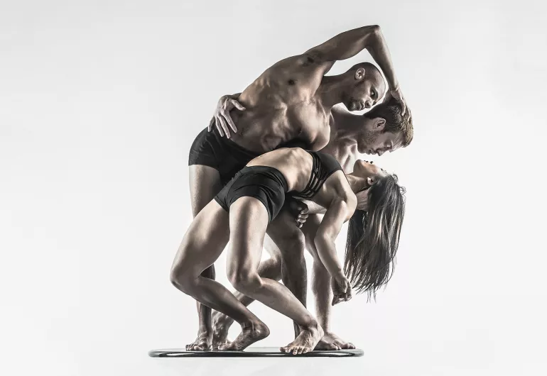 Pilobolus