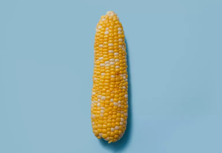 Global Food Security event page