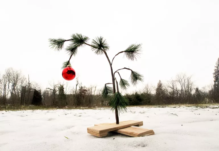 A sad-looking Charlie Brown style Christmas tree with one red ball ornament.
