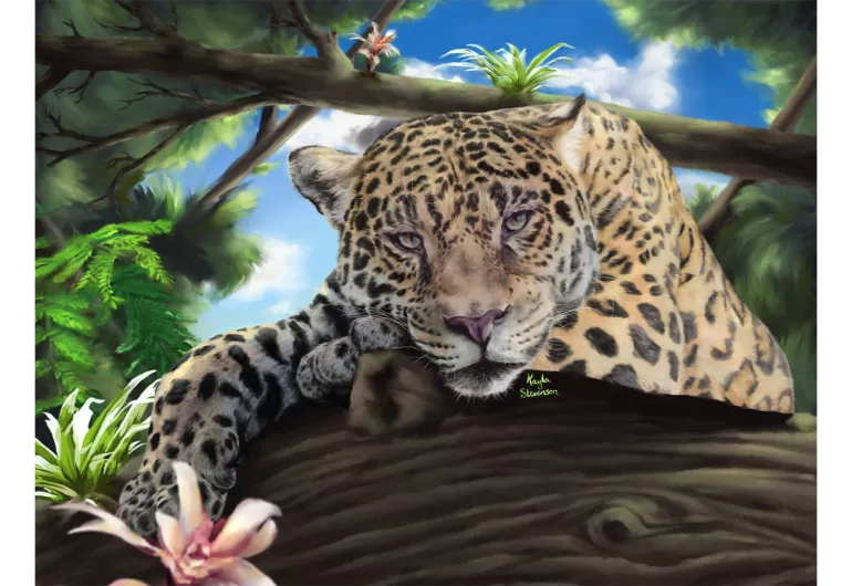 Jaguar