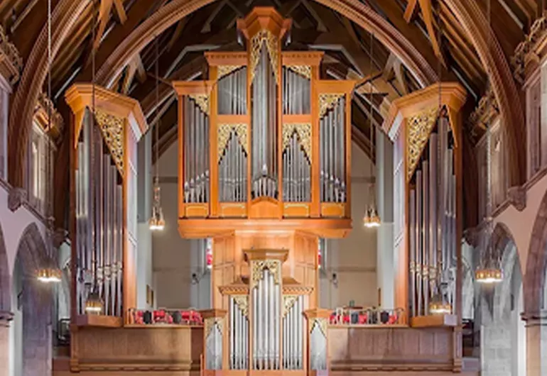 The inside of an ornate church with wooden pews, arched wooden beams in the ceiling, and a large pipe organ on the far side.