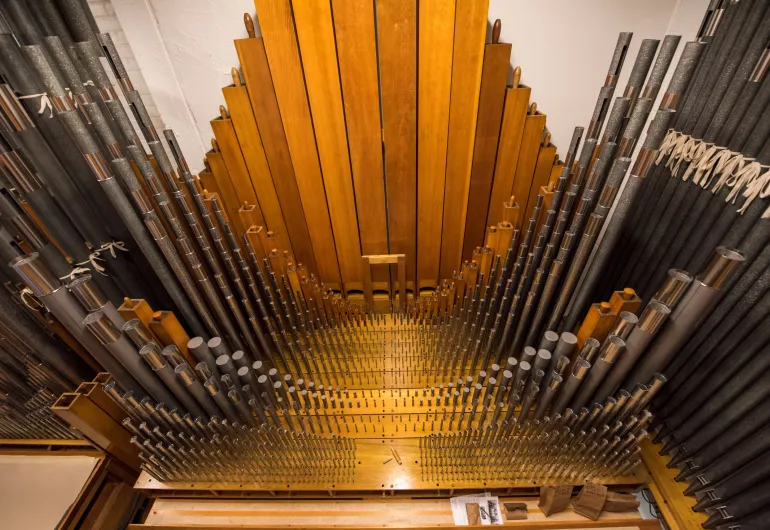 The pipes of the Northrop Organ