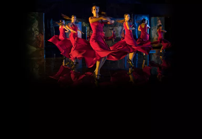 "Flamenco, Flamenco"