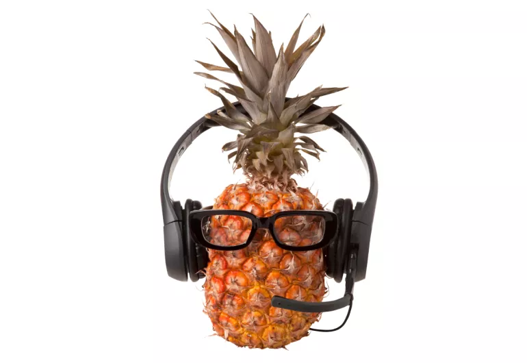 Fruit Orchestra!
