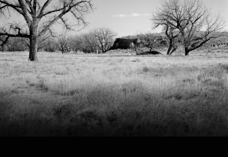 Struggling Over the Memory of Sand Creek