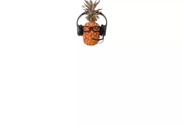 Fruit Orchestra!