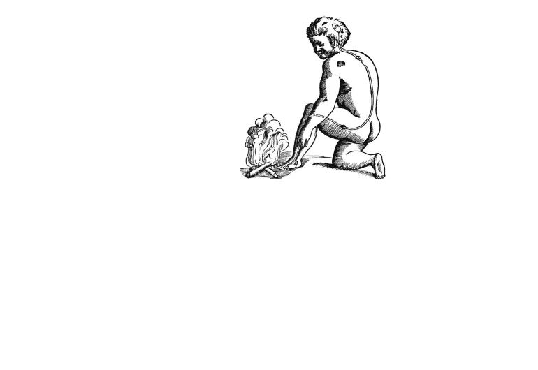 Mind, Body, & Consciousness in Premodern and Modern Contexts