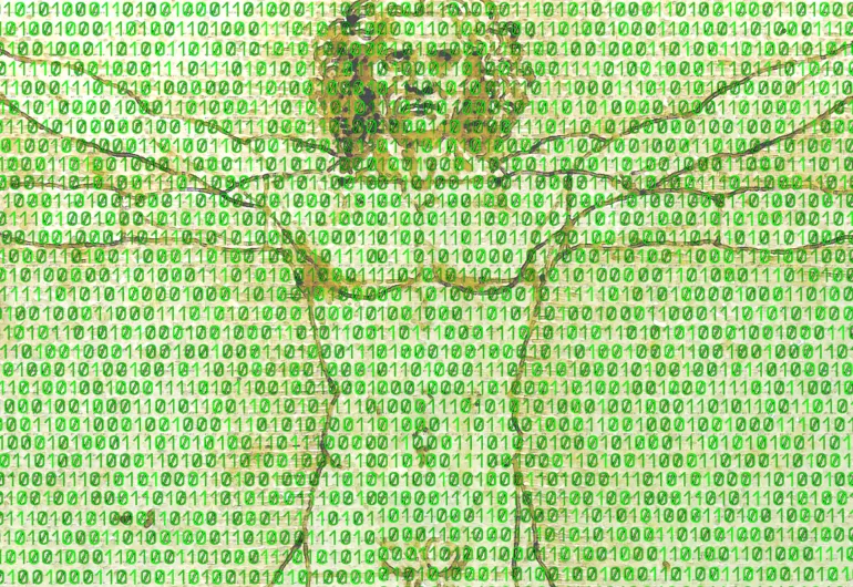 Where is the Human in the Data?