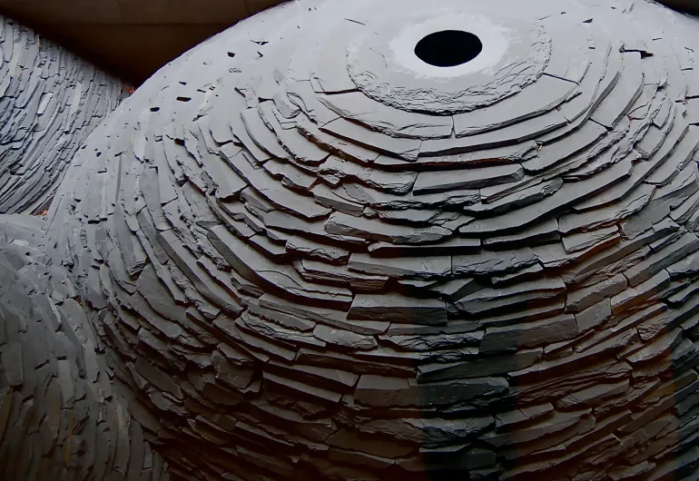 Rivers and Tides: Andy Goldsworthy Working with Time