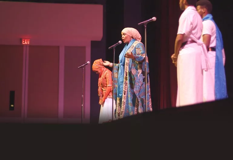 Somali Night 2017