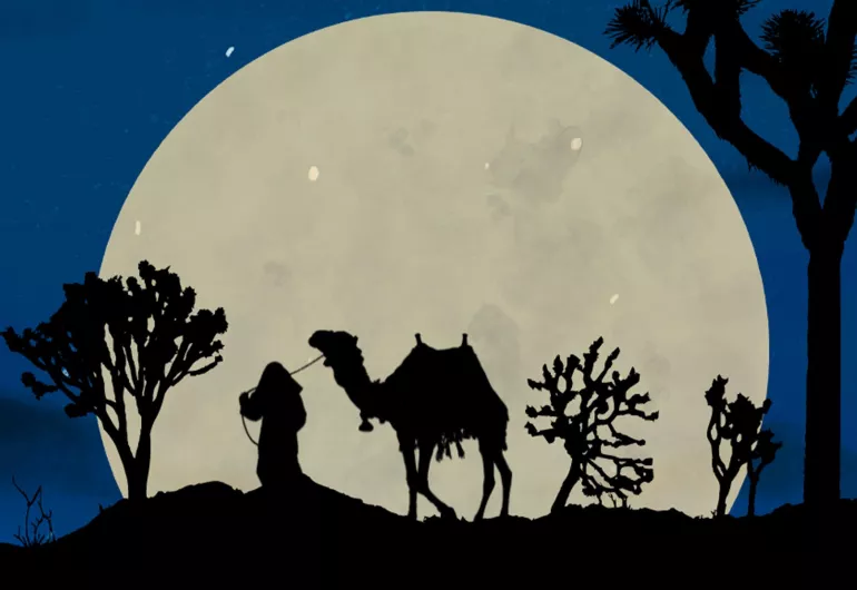 Somali Night event page
