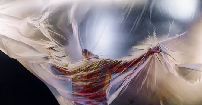 Solo dancer wrapped in a transparent cloth