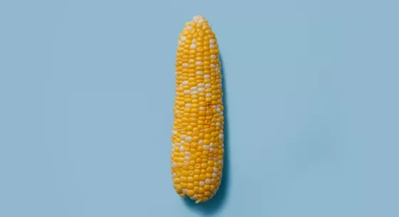 Global Food Security event page