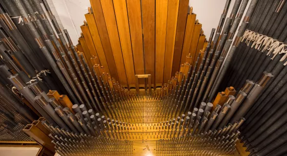 link, Fun Facts About the Remarkable Northop Pipe Organ blog post