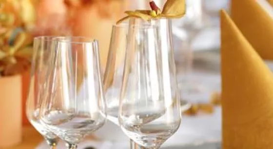 Wine glasses