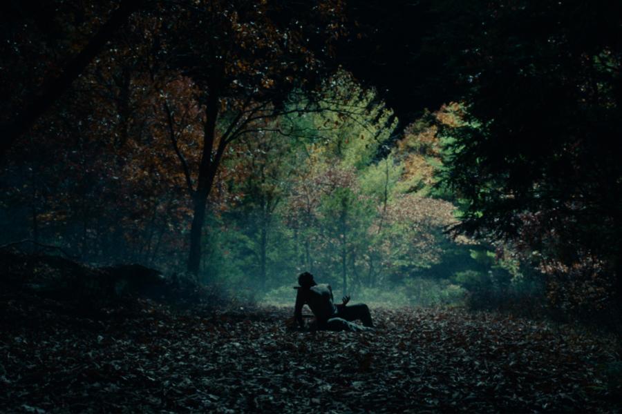 A person sits on the ground in a dark woods