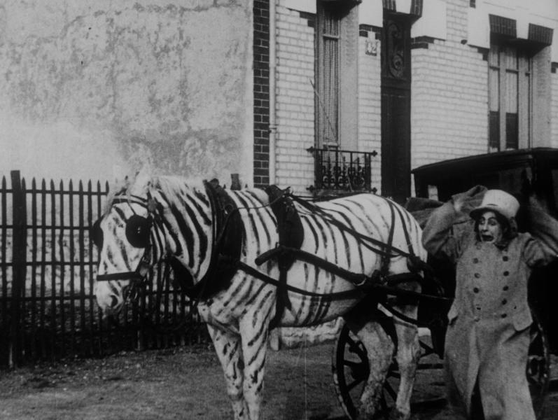 A white horse with a carriage attached to it, stands in a black and white photo. The white horse is painted with black striped, making it appear to be zebra printed. A character stands to the right of the horse with their arms above their head, wearing a nervous expression on their face. 