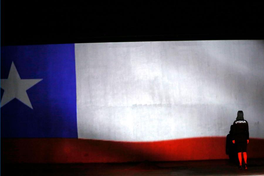 A person stands on the right side of the image facing a giant flag with their back to the audience. The flag has a red rectangle across the bottom, one third of the top is blue with a white star in the middle and the other two thirds are white.