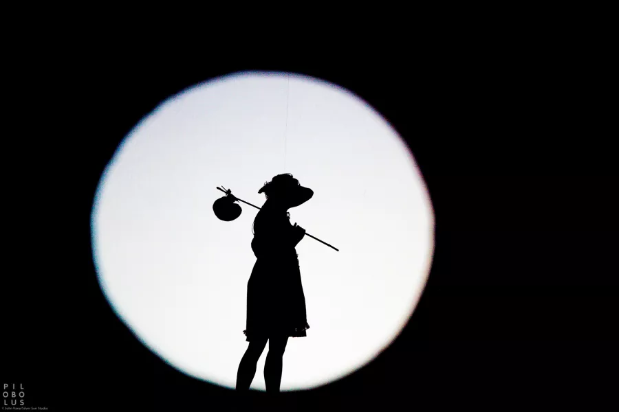 A black rectangle with a white spotlight, reveals the figurine/shadow of a dancer wearing a dress, bonnett, and carrying a bindle over their shoulder. 