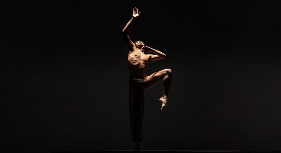 A dancer stands on one leg and reaches toward sky with one arm. They stand against a dark stage and half their body is covered in shadow with the light coming from straight above them.