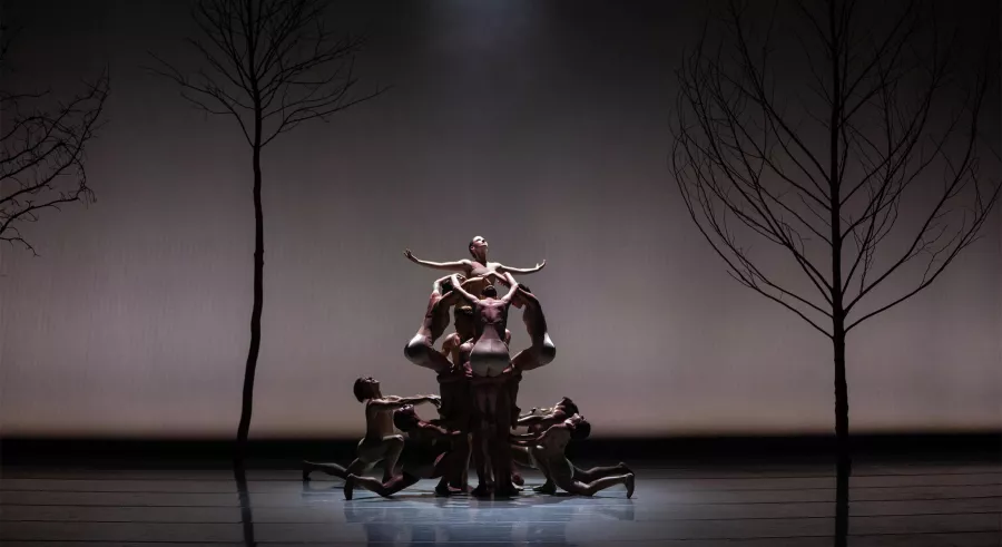 One dancer rises from a formation of limbs with their arms outstretched beneath the spotlight.