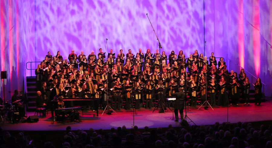 The singers of the WITNESS choir performing onstage with a conductor at Northrop with a purple and pink spotted background.