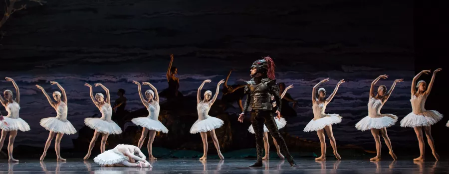 Houston Ballet in Swan Lake