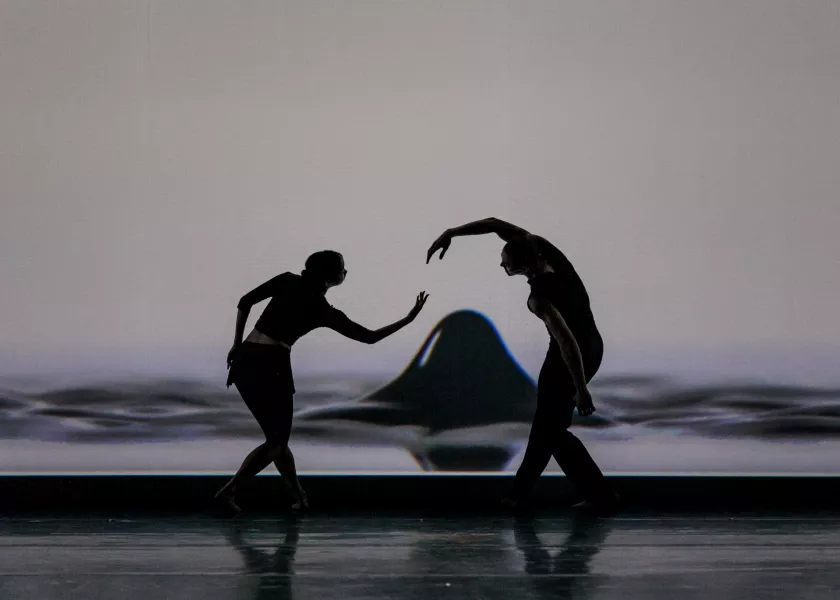 K Kimura and C Brown in i.n.k.