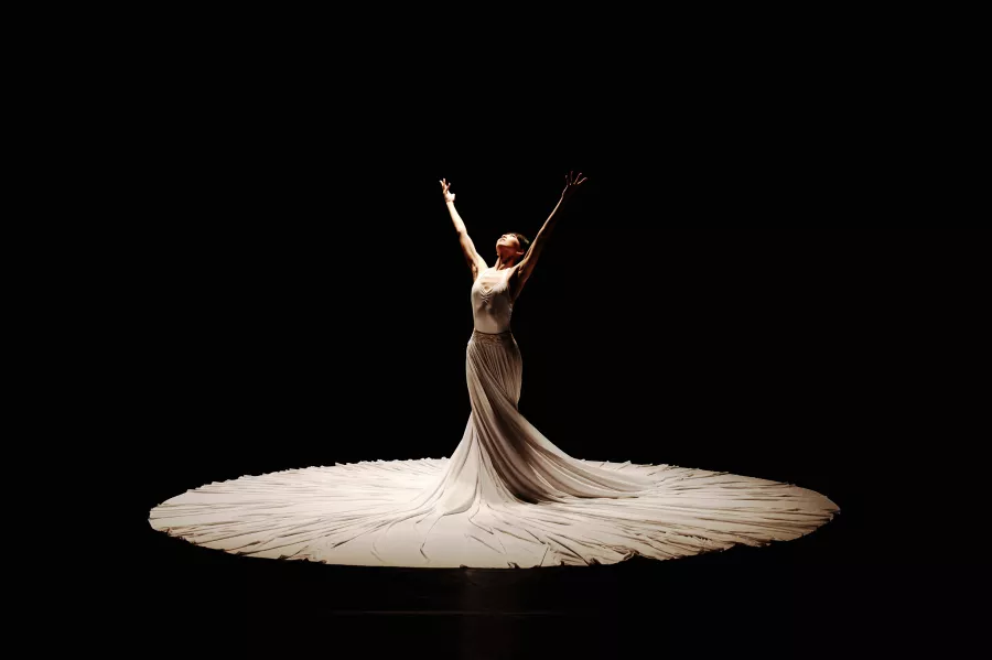 K Kimura in The Calling