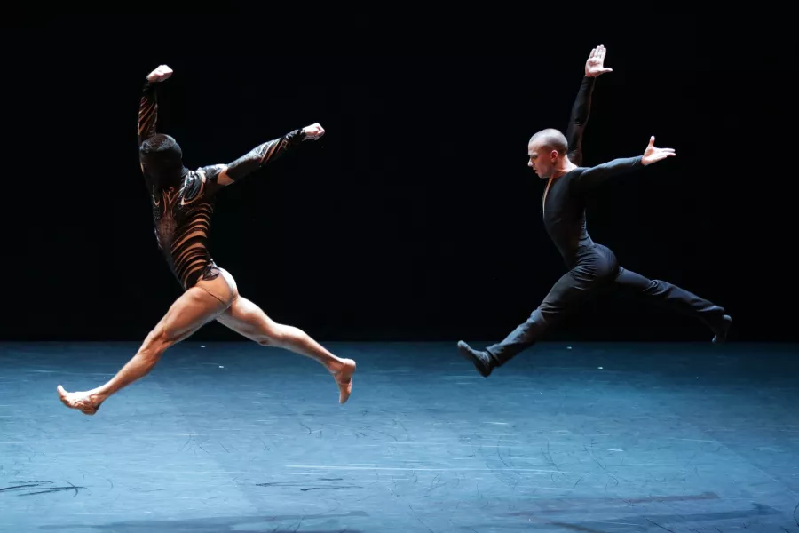 Malandain_Ballet Biarritz - La Belle et la Bête