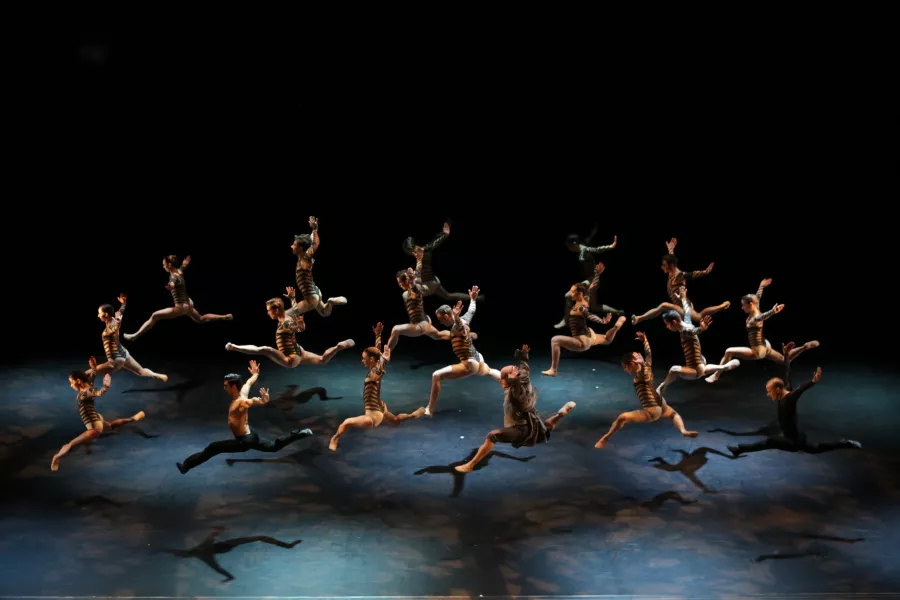 Malandain_Ballet Biarritz - La Belle et la Bête