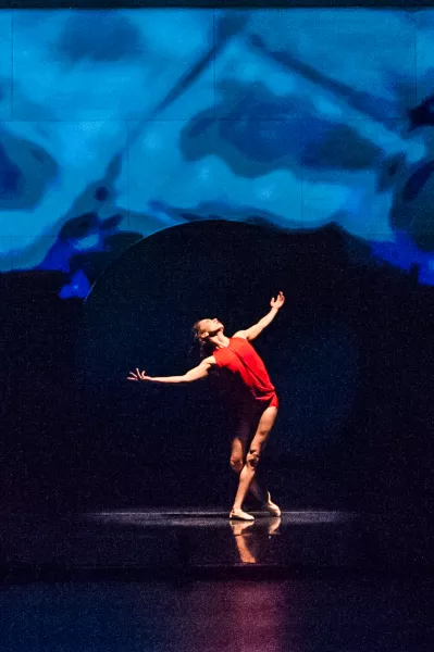 ODC Dance - boulders and bones