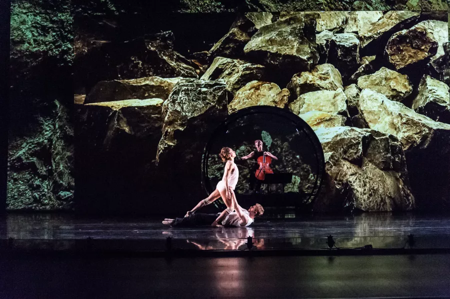 ODC Dance - boulders and bones