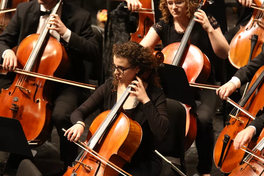University Symphony Orchestra - 2014