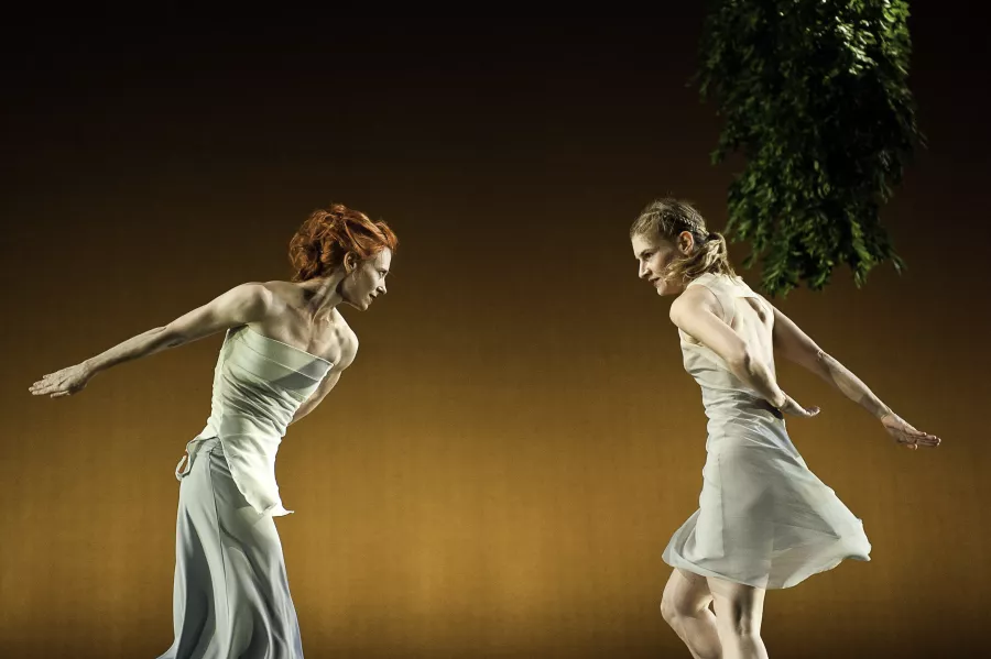 Photo courtesy of Kate Weare Company.