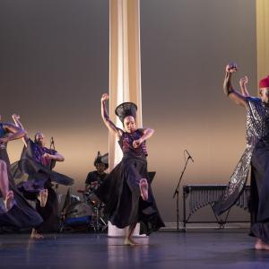A group of dancers perform together on stage.
